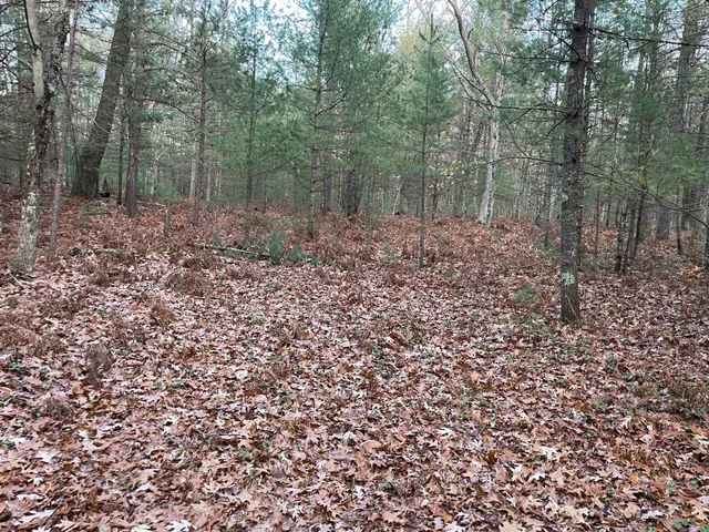 $159,900 | V/l V/l Forest, Wellston, MI 49689