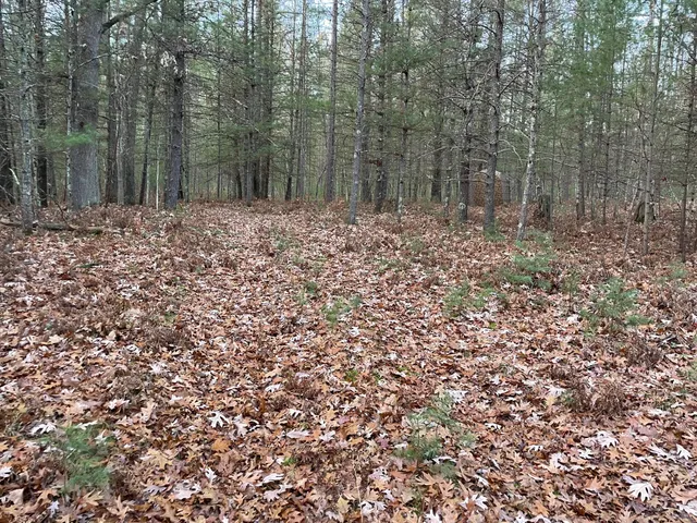 $159,900 | V/l V/l Forest, Wellston, MI 49689