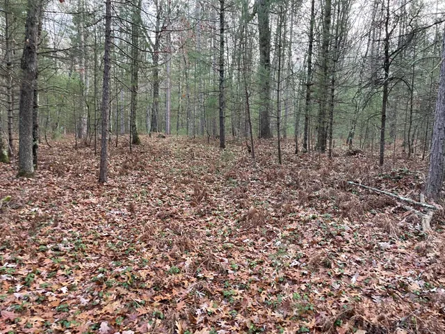 $159,900 | V/l V/l Forest, Wellston, MI 49689