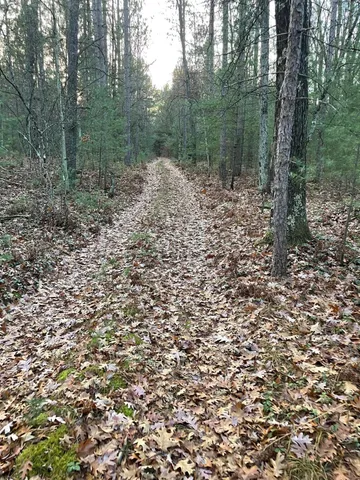 $159,900 | V/l V/l Forest, Wellston, MI 49689