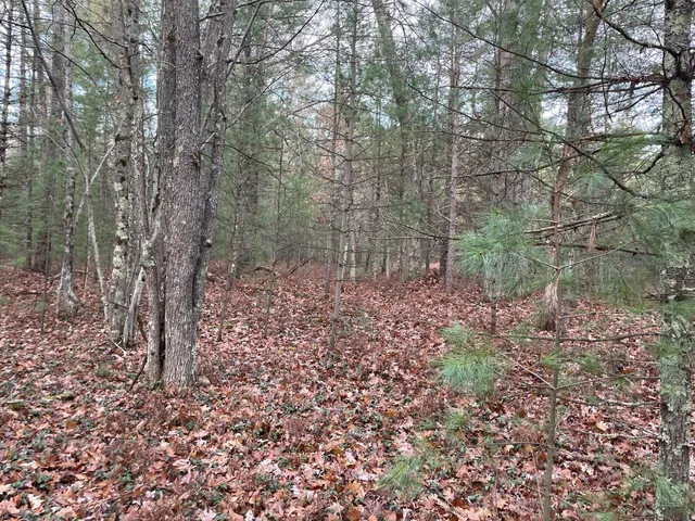 $159,900 | V/l V/l Forest, Wellston, MI 49689