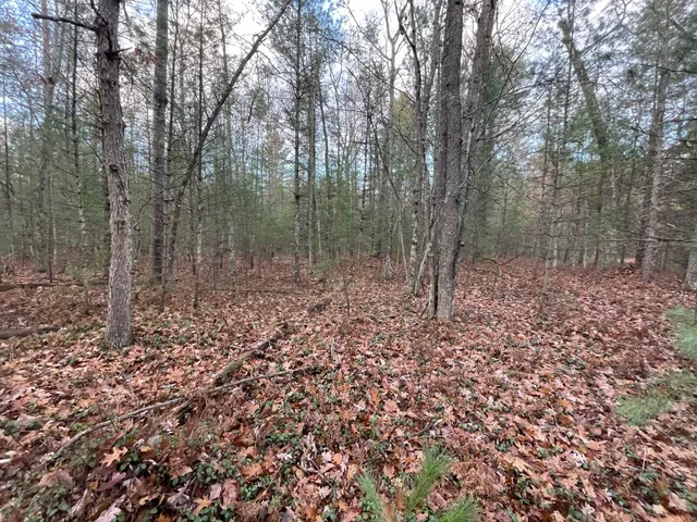 $159,900 | V/l V/l Forest, Wellston, MI 49689