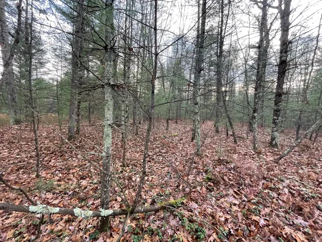 $159,900 | V/l V/l Forest, Wellston, MI 49689