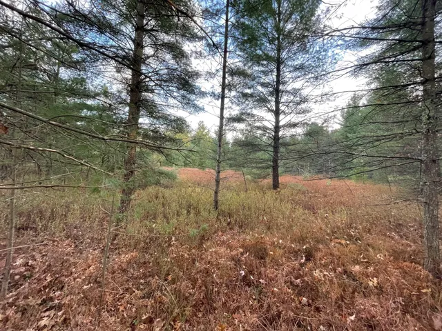 $159,900 | V/l V/l Forest, Wellston, MI 49689