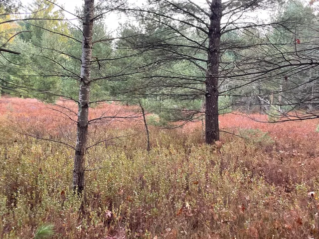 $159,900 | V/l V/l Forest, Wellston, MI 49689