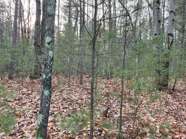 $159,900 | V/l V/l Forest, Wellston, MI 49689