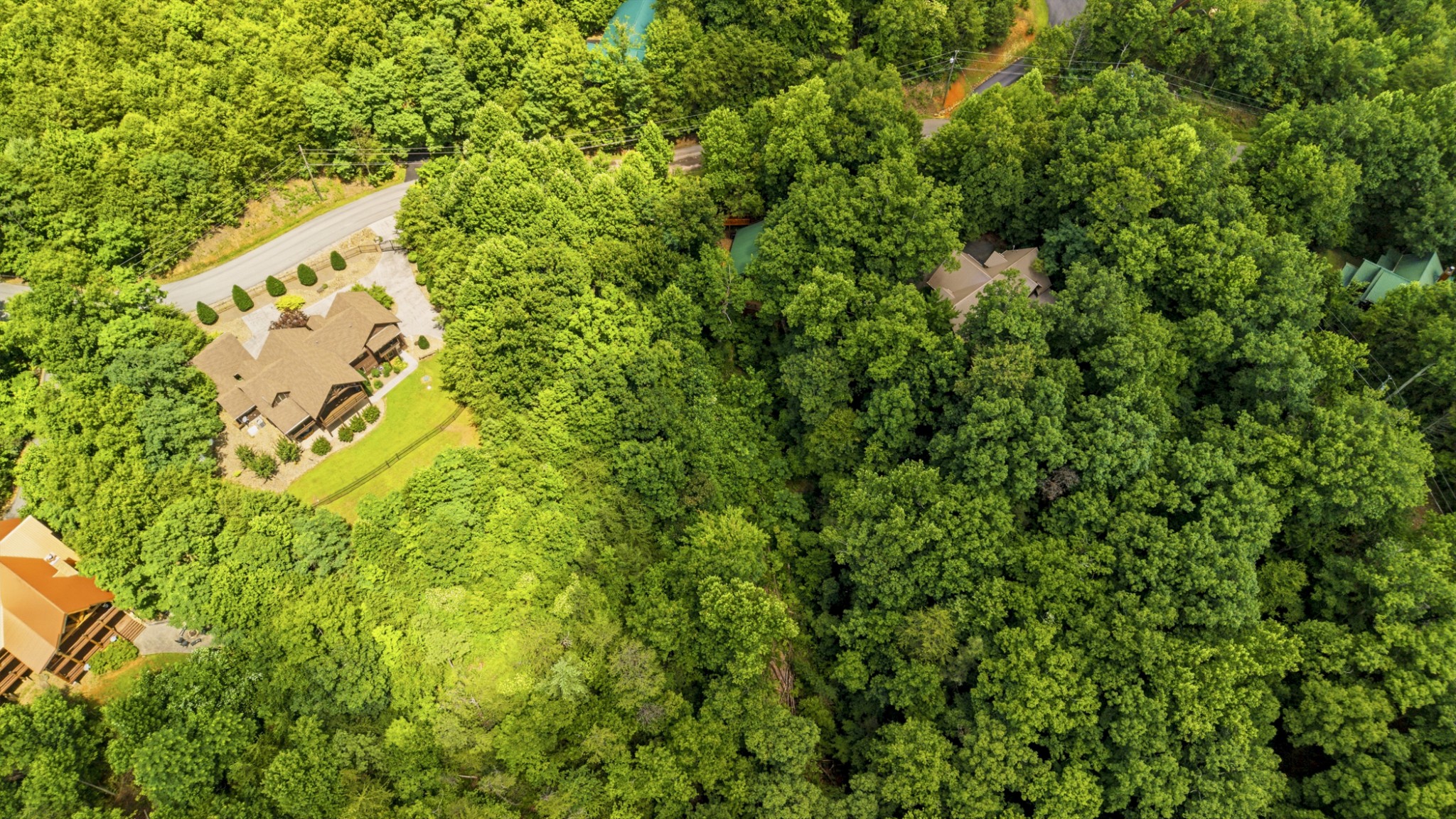 820 Pinnacle Vista Road Gatlinburg, TN 37738 - Photo 5 of 31