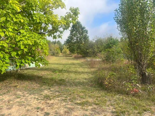 7541 Grass Lake Road Kalkaska, MI 49646 - Photo 13 of 15 IMG_6963