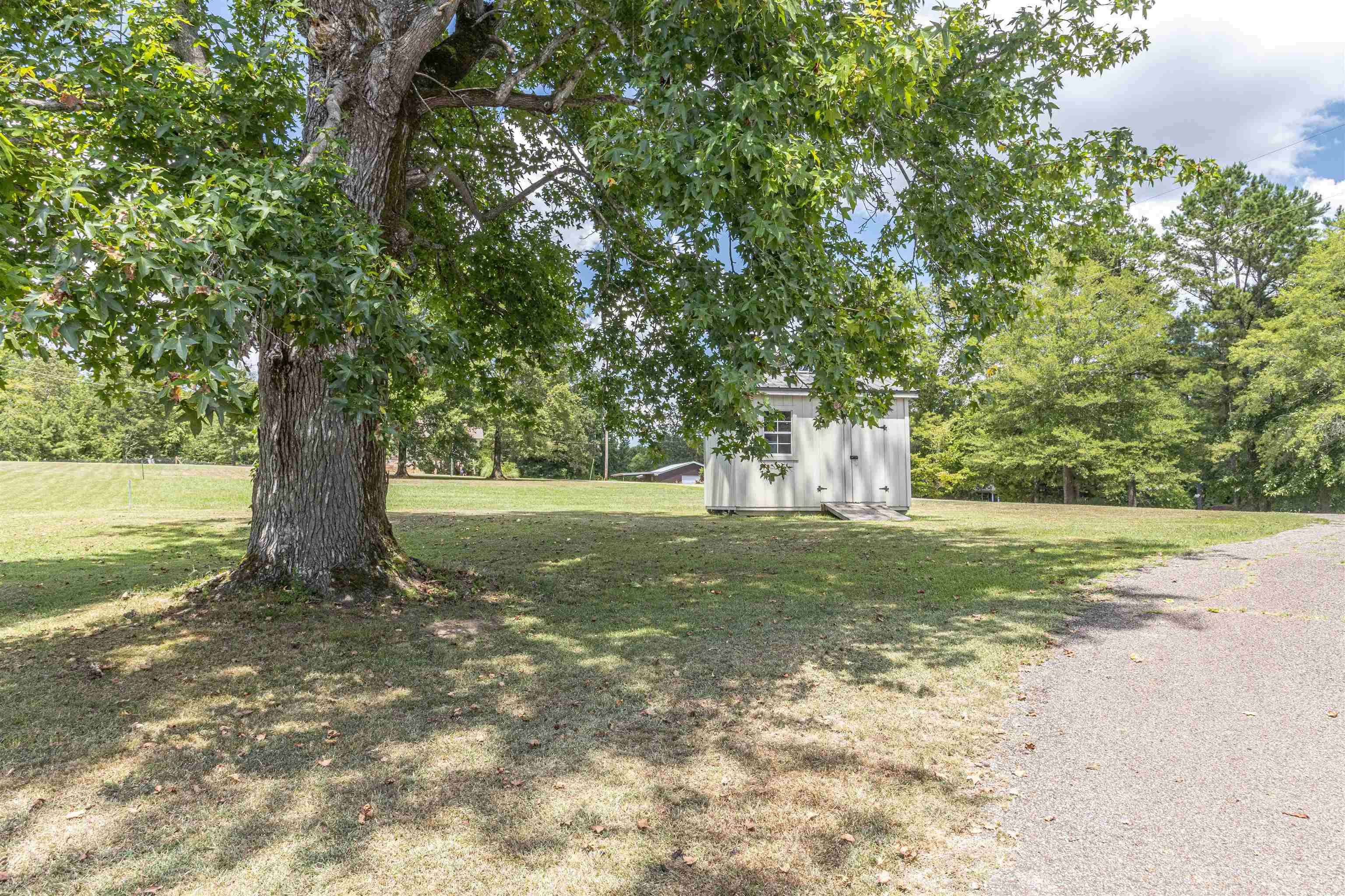 3285 Highway 57 Ramer, TN 38367 - Photo 18 of 22 a view of a field with an trees