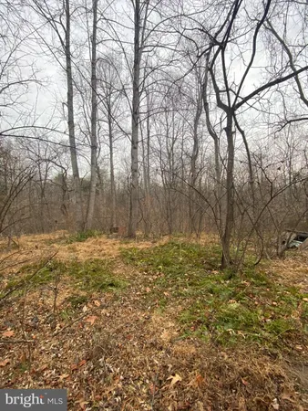 $95,000 | 0 Settle School Road, Rixeyville, VA 22737