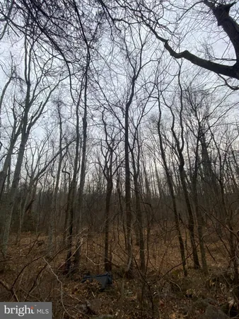 $95,000 | 0 Settle School Road, Rixeyville, VA 22737