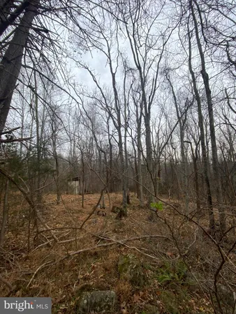 $95,000 | 0 Settle School Road, Rixeyville, VA 22737