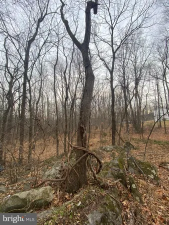 $95,000 | 0 Settle School Road, Rixeyville, VA 22737