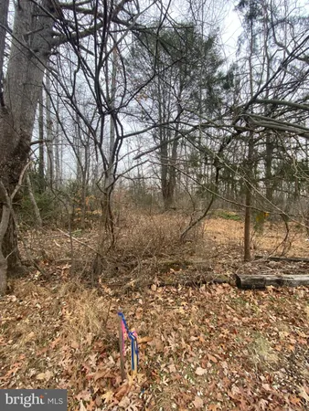 $95,000 | 0 Settle School Road, Rixeyville, VA 22737