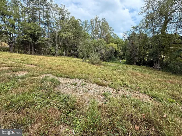 a view of a yard with trees