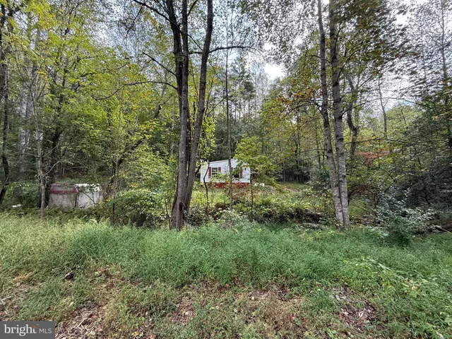 a big yard with lots of green space and deers