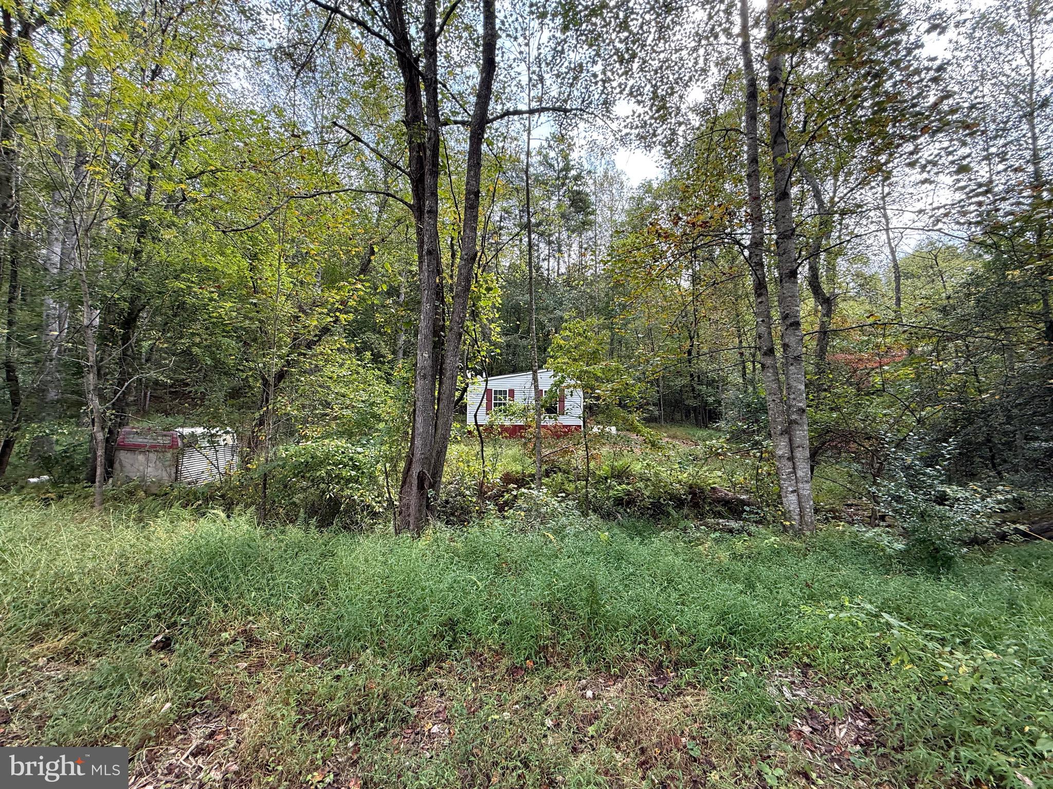 6360 Tharp Road Culpeper, VA 22701 - Photo 5 of 7 a big yard with lots of green space and deers