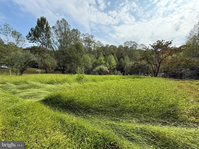 a view of an outdoor space and a yard