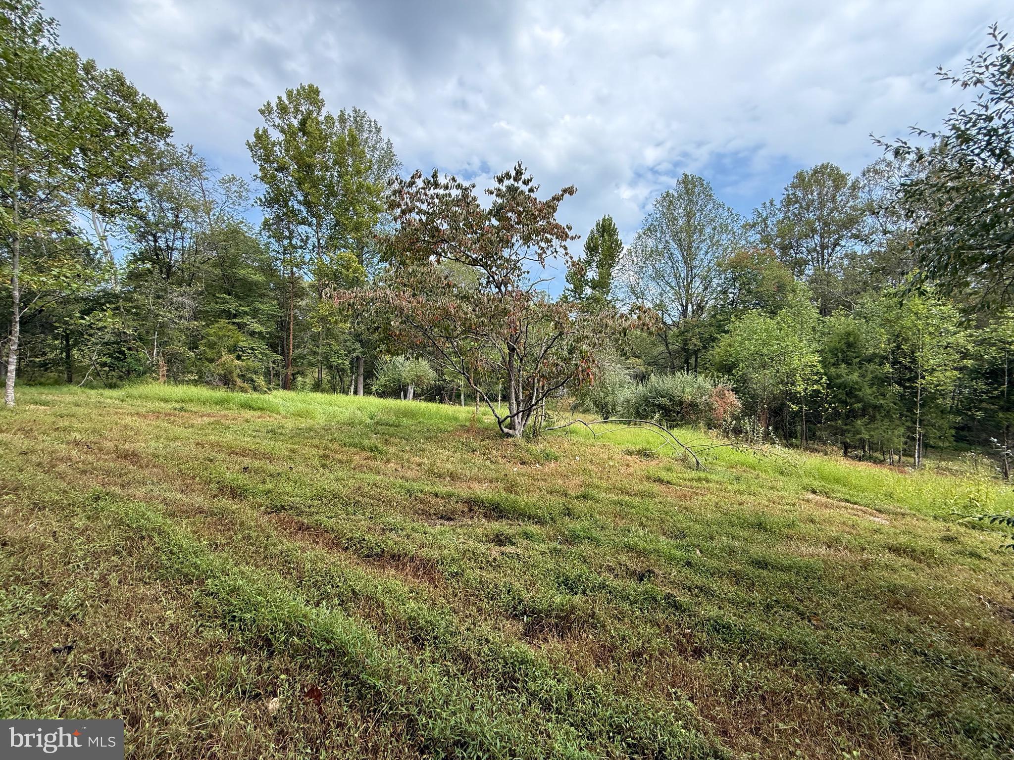 6360 Tharp Road Culpeper, VA 22701 - Photo 7 of 7 a backyard of a house with lots of green space