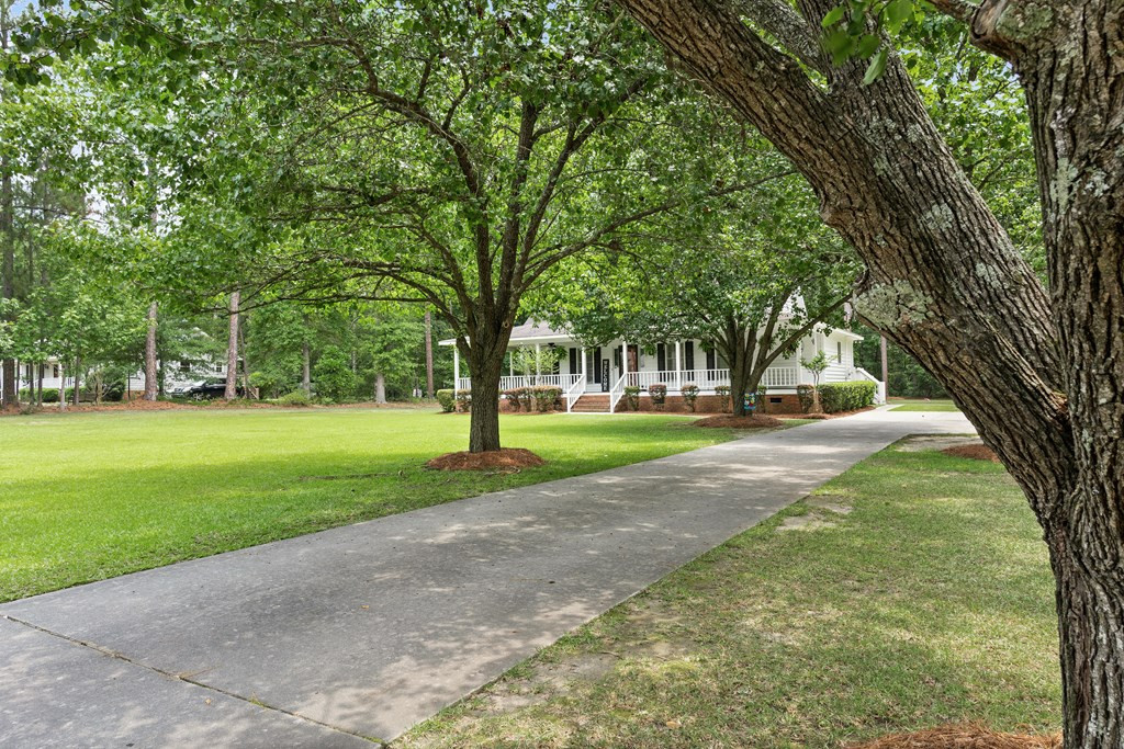 963 Partridge Road Orangeburg, SC 29118 - Photo 3 of 46 Photo 3