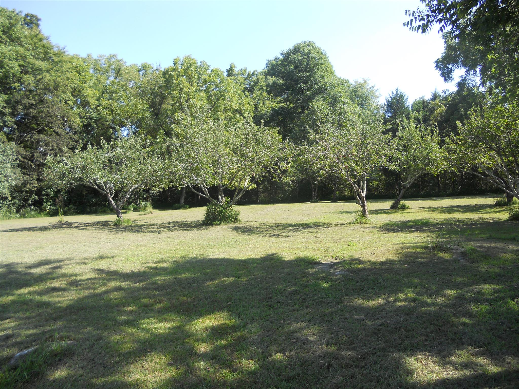 Gallery Image 7