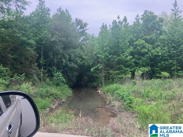 3115 Eddins Road Tuscaloosa, AL 35401 - Photo 24 of 25