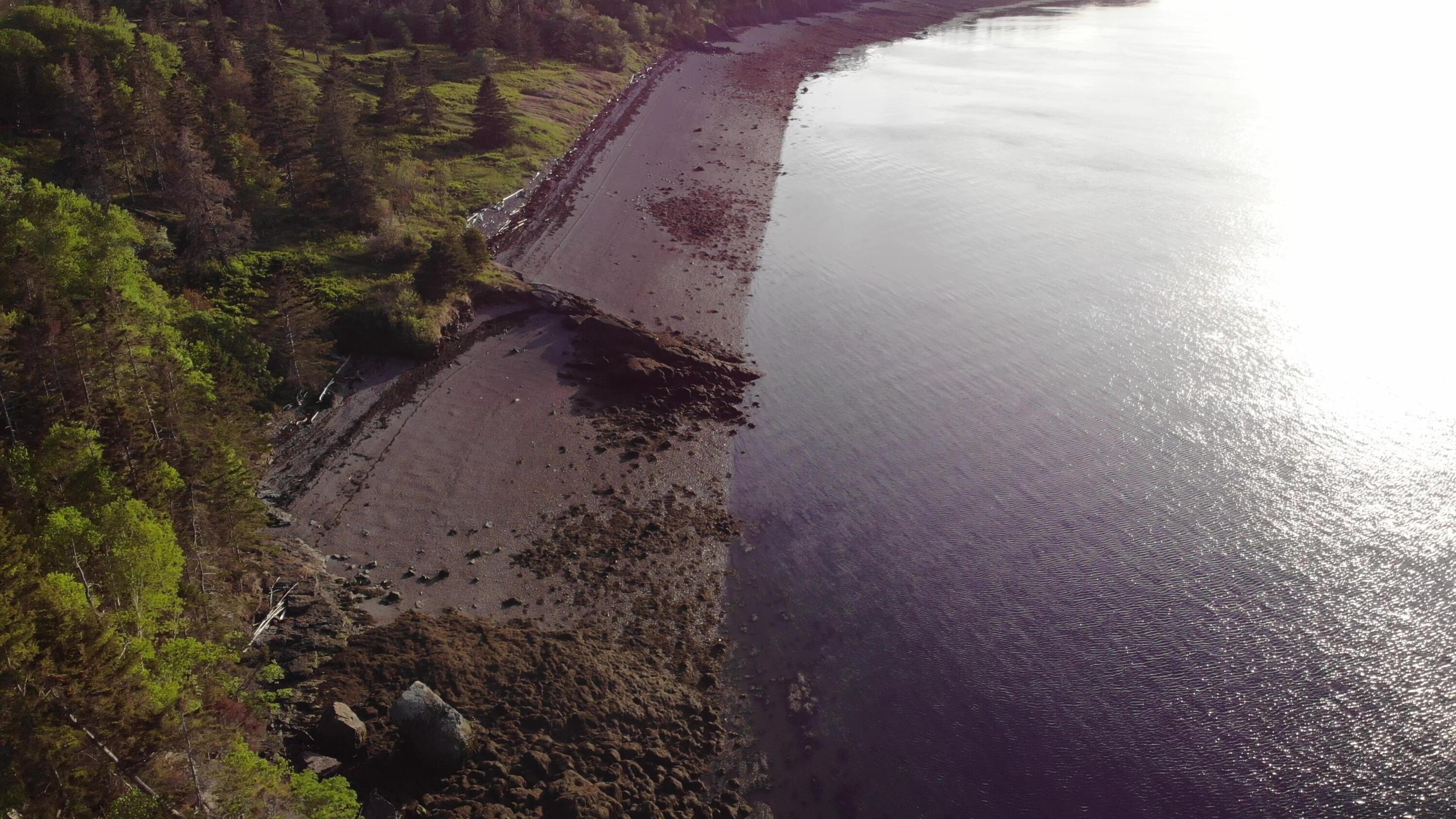 45 Kendall Head Road Eastport, ME 04631 - Photo 105 of 117 DJI_0145 - frame at 1m40s