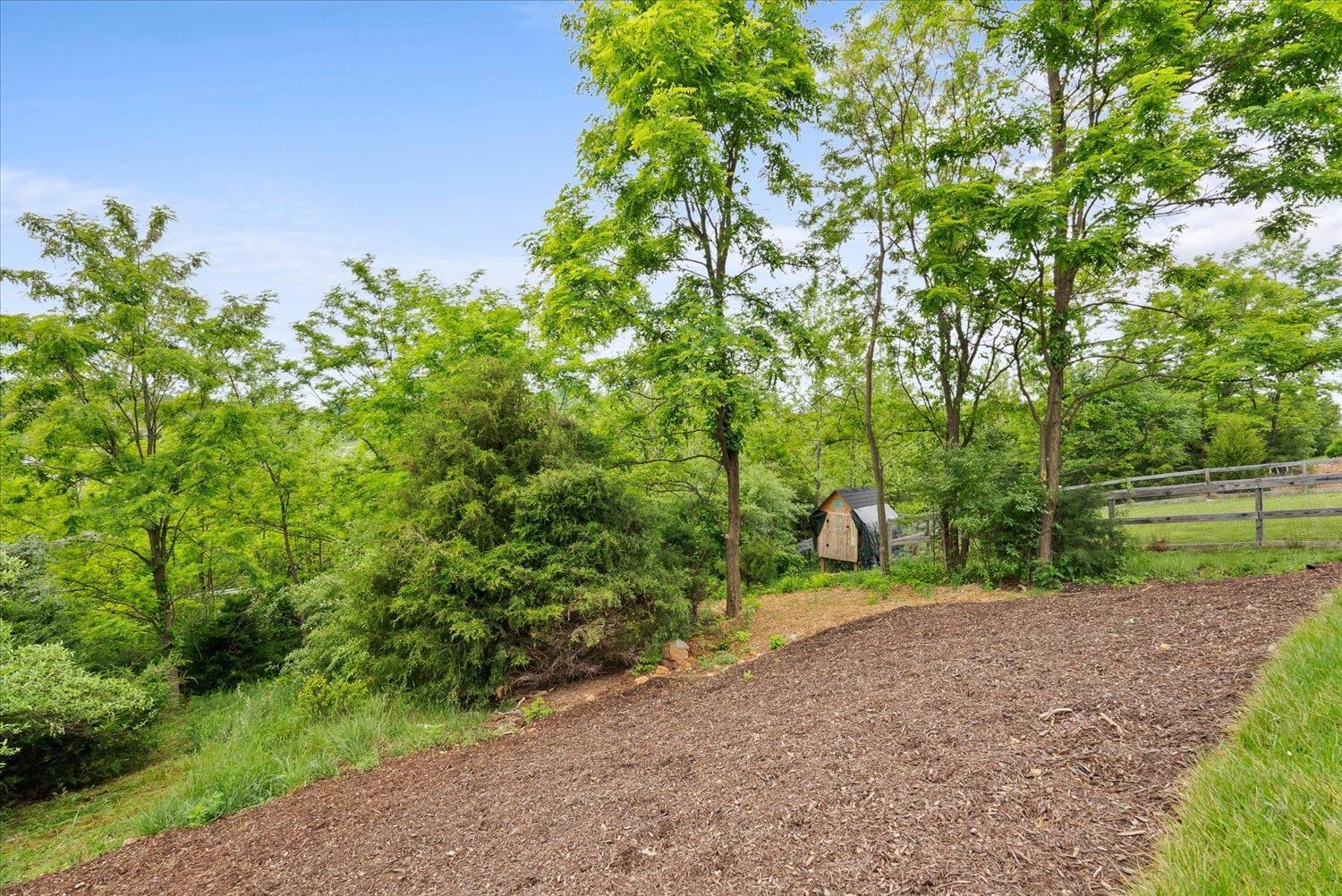Lot 8 Middlebrook Avenue Staunton, VA 24401 - Photo 35 of 39 a view of a field with plants and trees