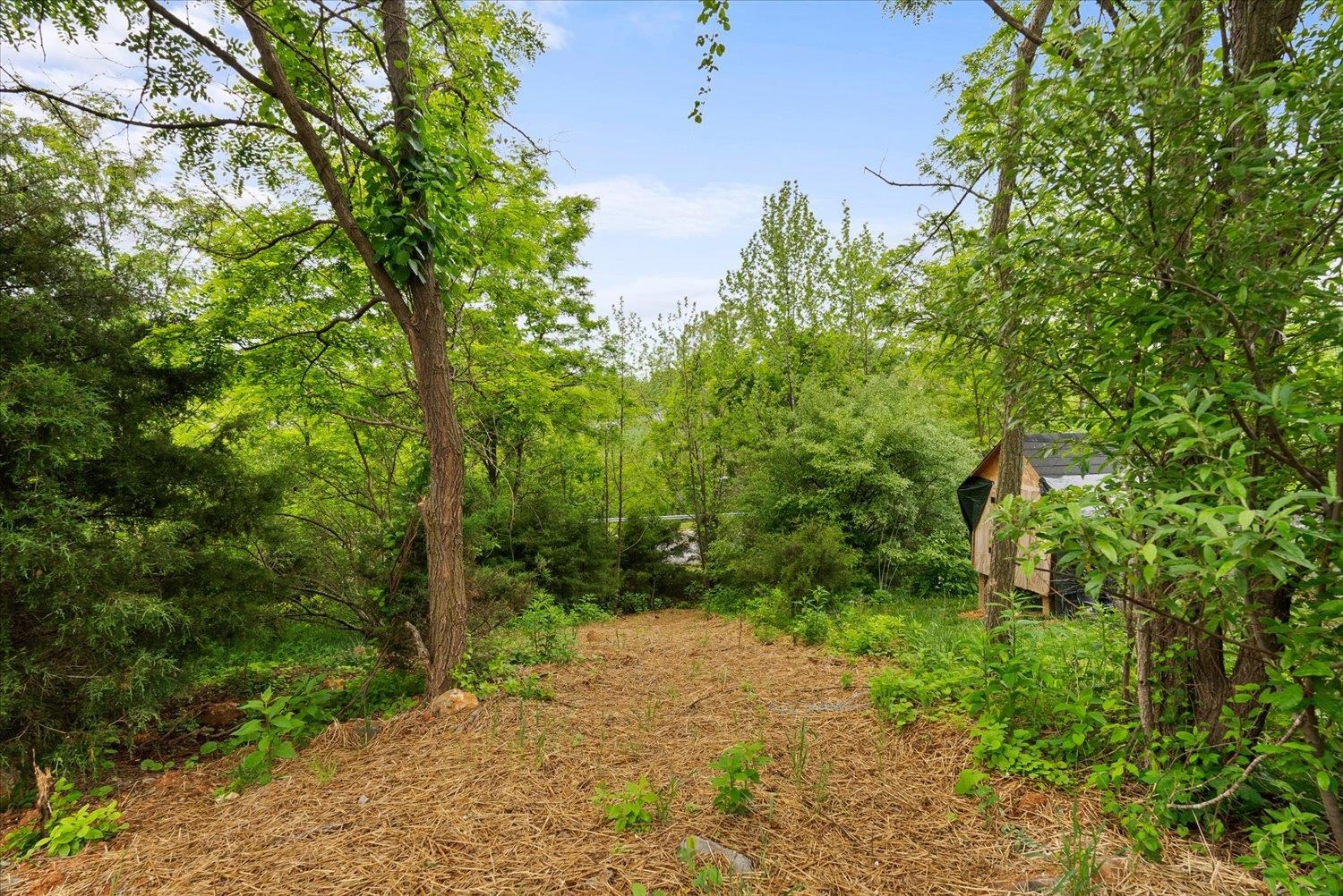 Lot 8 Middlebrook Avenue Staunton, VA 24401 - Photo 36 of 39 a backyard of a house with lots of green space