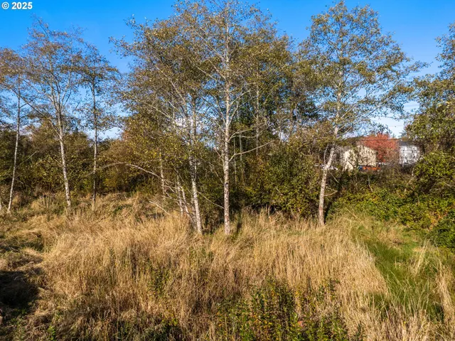 a view of residential houses with trees