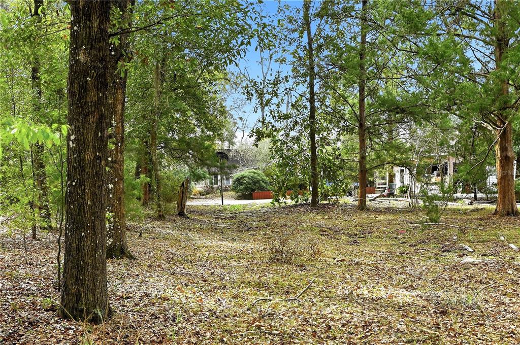 22215 135th Court O'Brien, FL 32071 - Photo 38 of 44