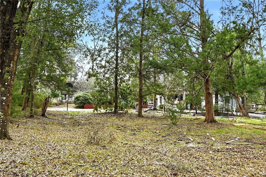 22215 135th Court O'Brien, FL 32071 - Photo 39 of 44