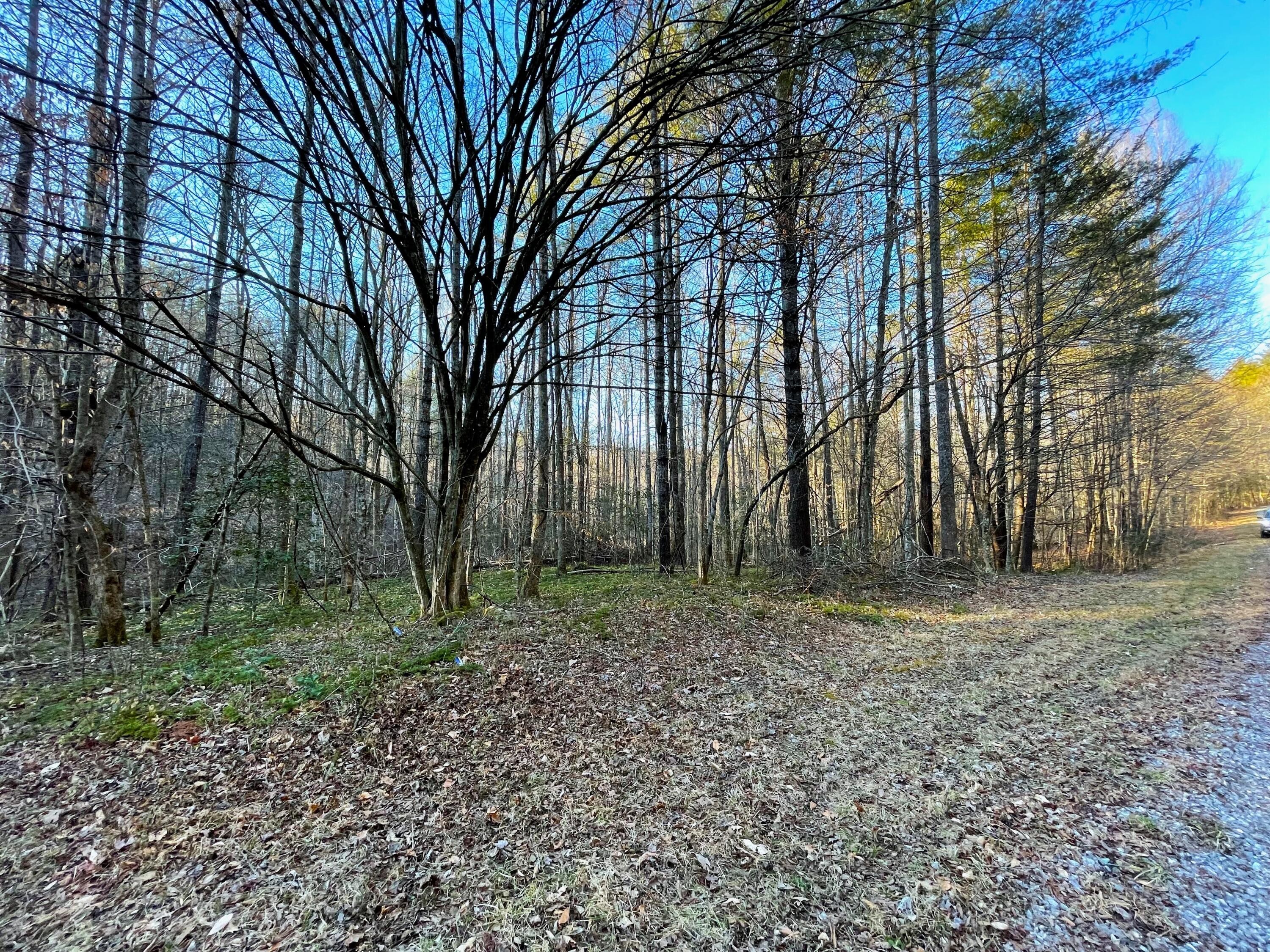 2.45-ac Cougar Trail Del Rio, TN 37727 - Photo 6 of 7 13