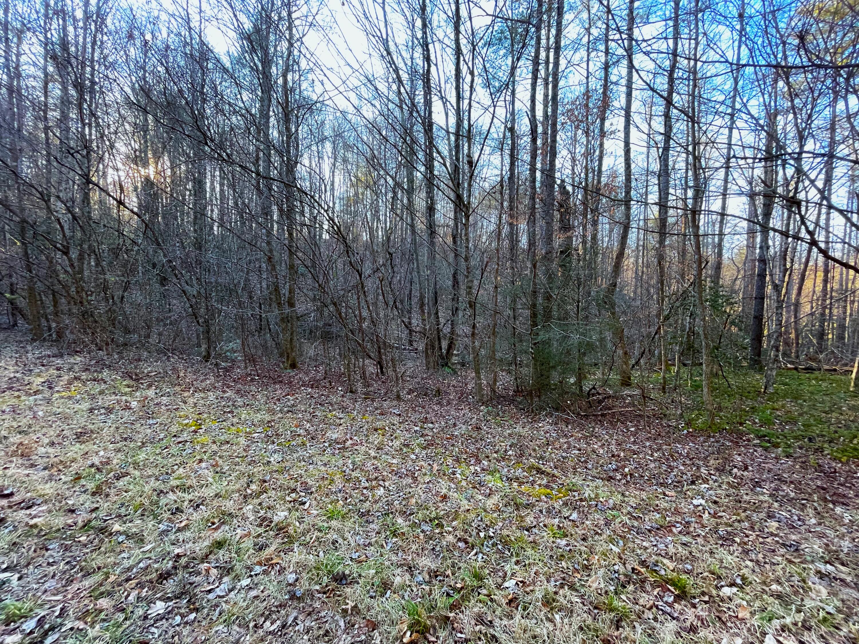 2.45-ac Cougar Trail Del Rio, TN 37727 - Photo 7 of 7 14
