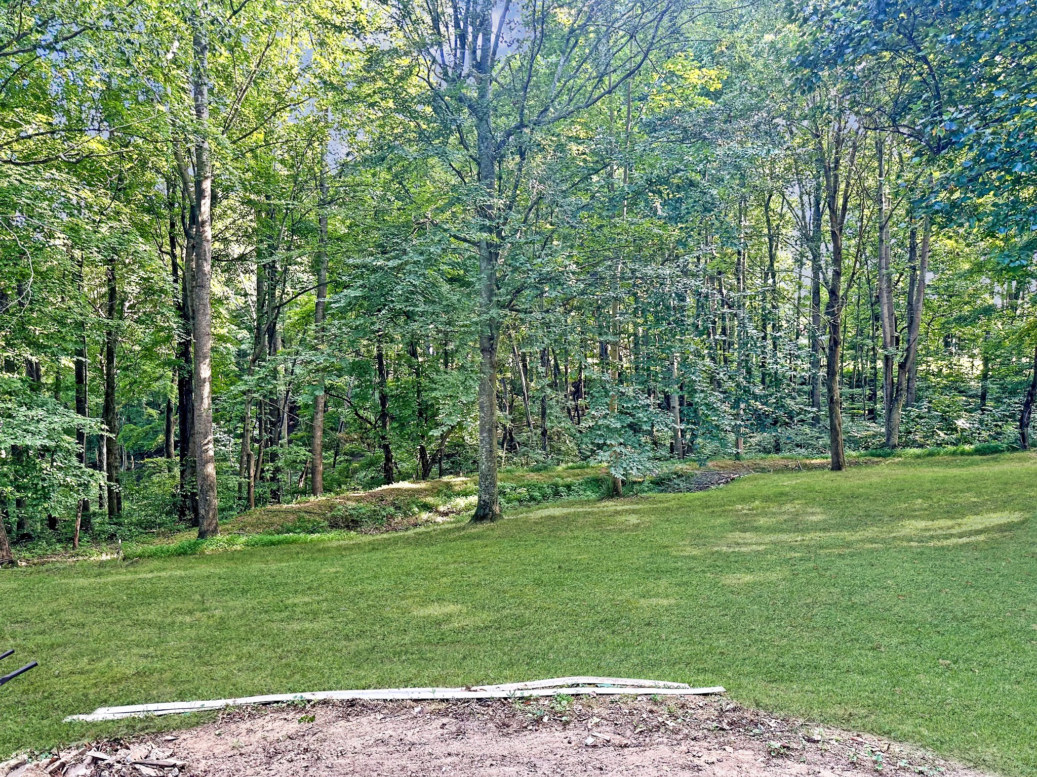 1016 Keyway Drive Pleasant View, TN 37146 - Photo 26 of 30 a view of a grassy field with trees