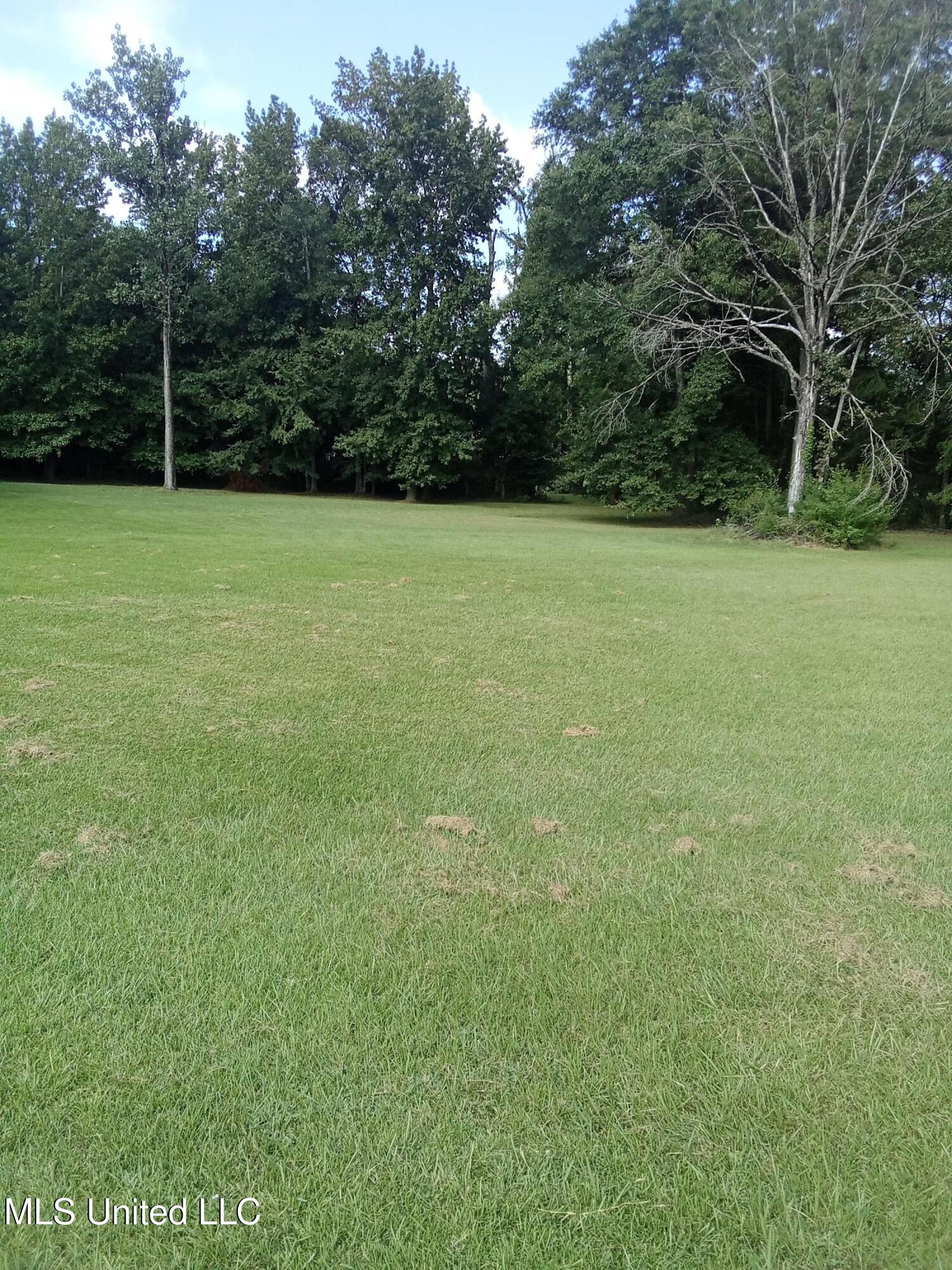 0 Rozell Cove Byram, MS 39212 - Photo 1 of 1 Minter - Picture