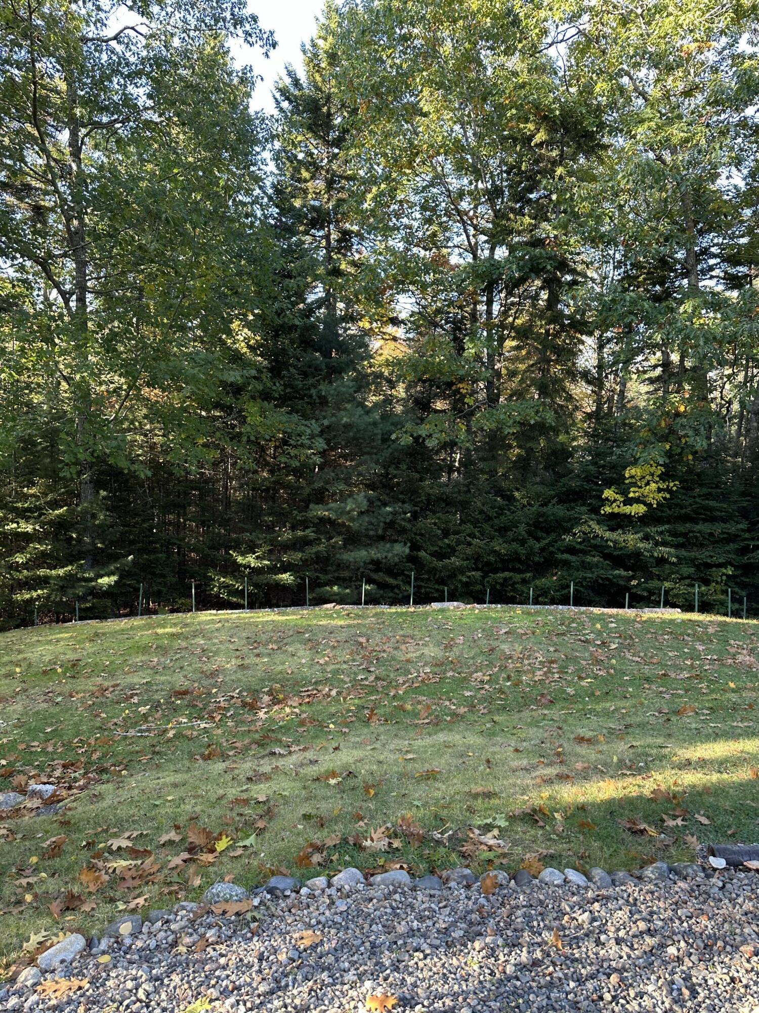 602 Spragues Falls Road Cherryfield, ME 04622 - Photo 17 of 52 IMG_2965