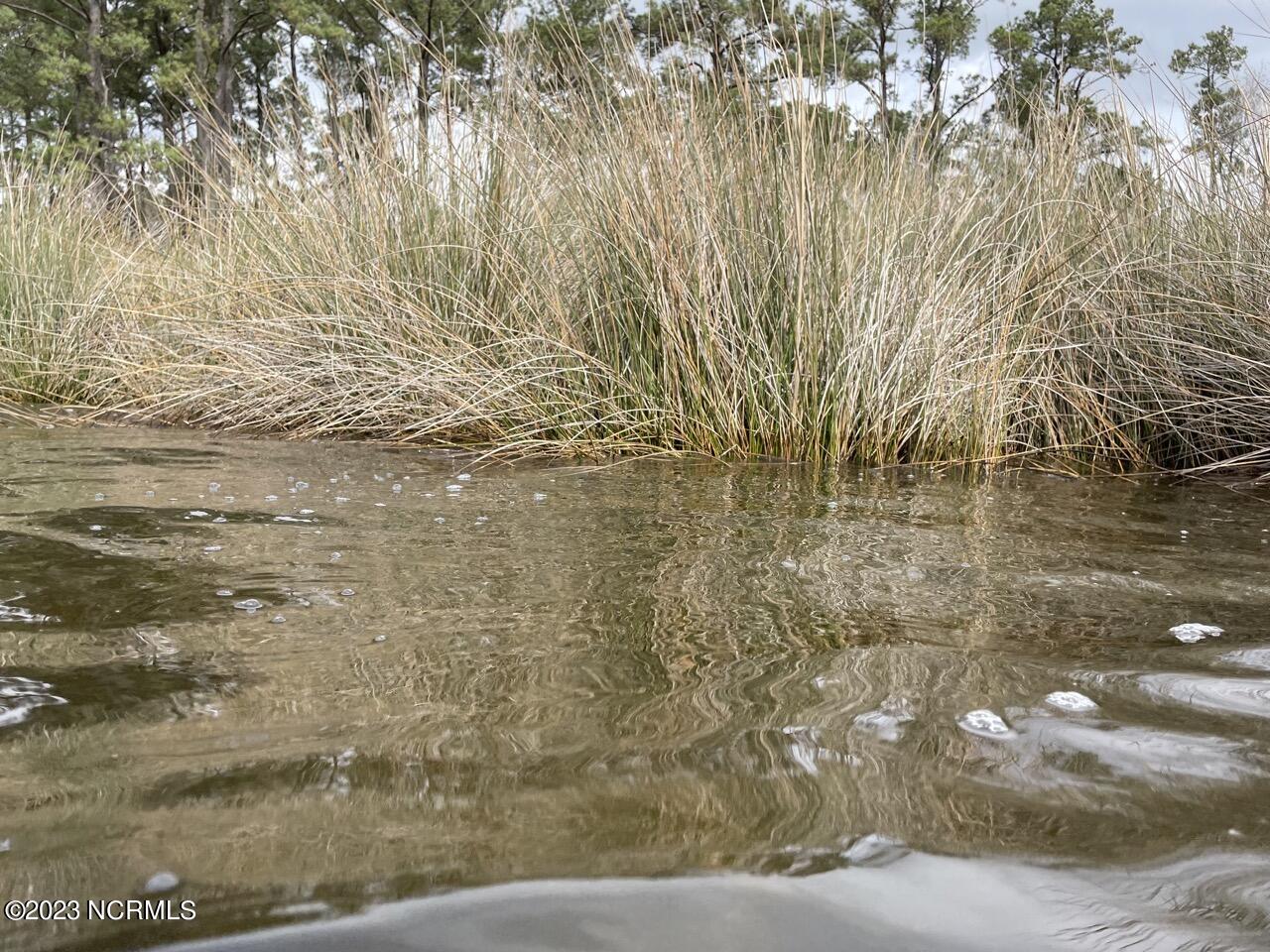 137 Tarpon Way Beaufort, NC 28516 - Photo 12 of 37 IMG_2704 Large