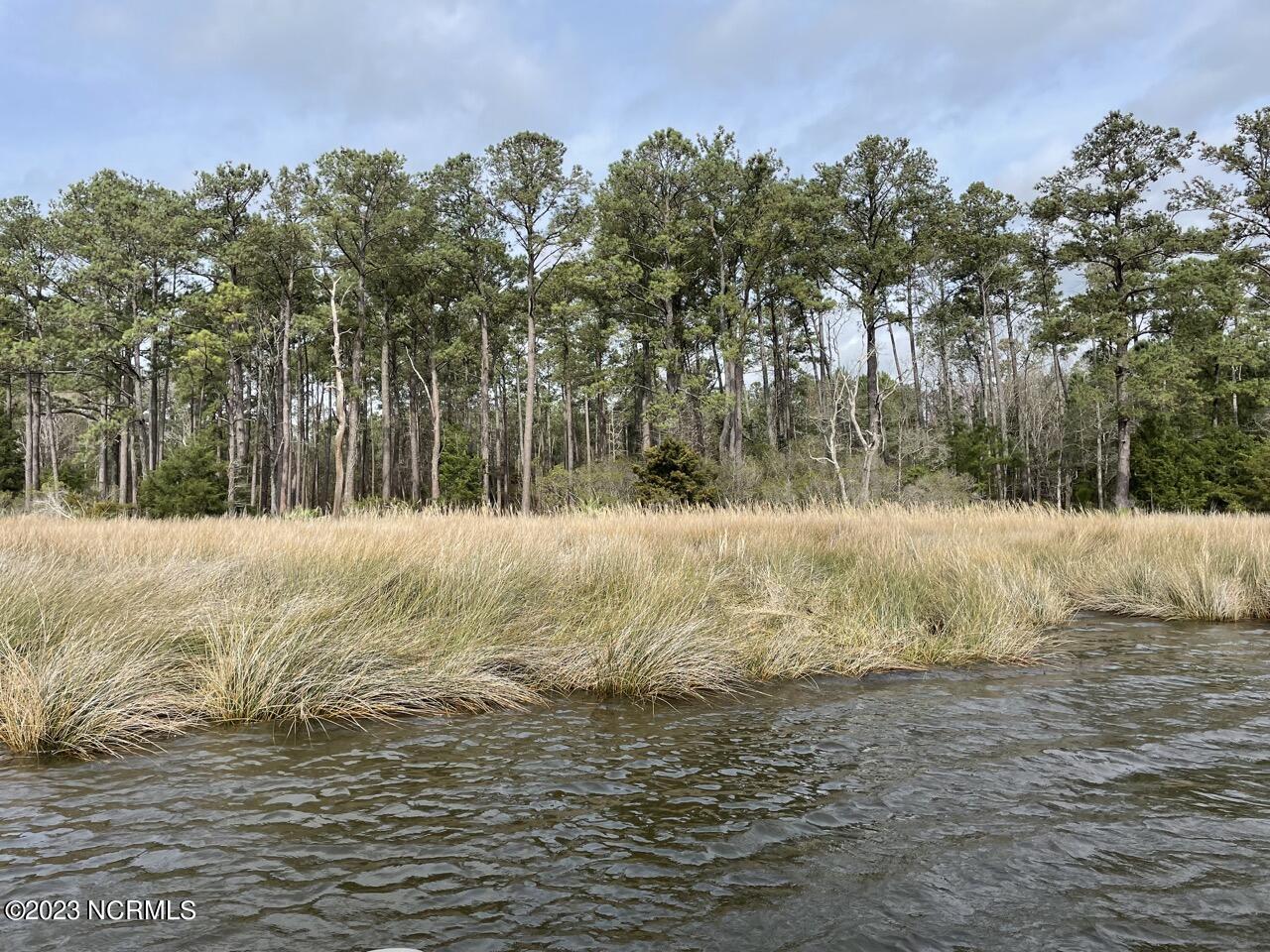 137 Tarpon Way Beaufort, NC 28516 - Photo 15 of 37 IMG_2710 Large