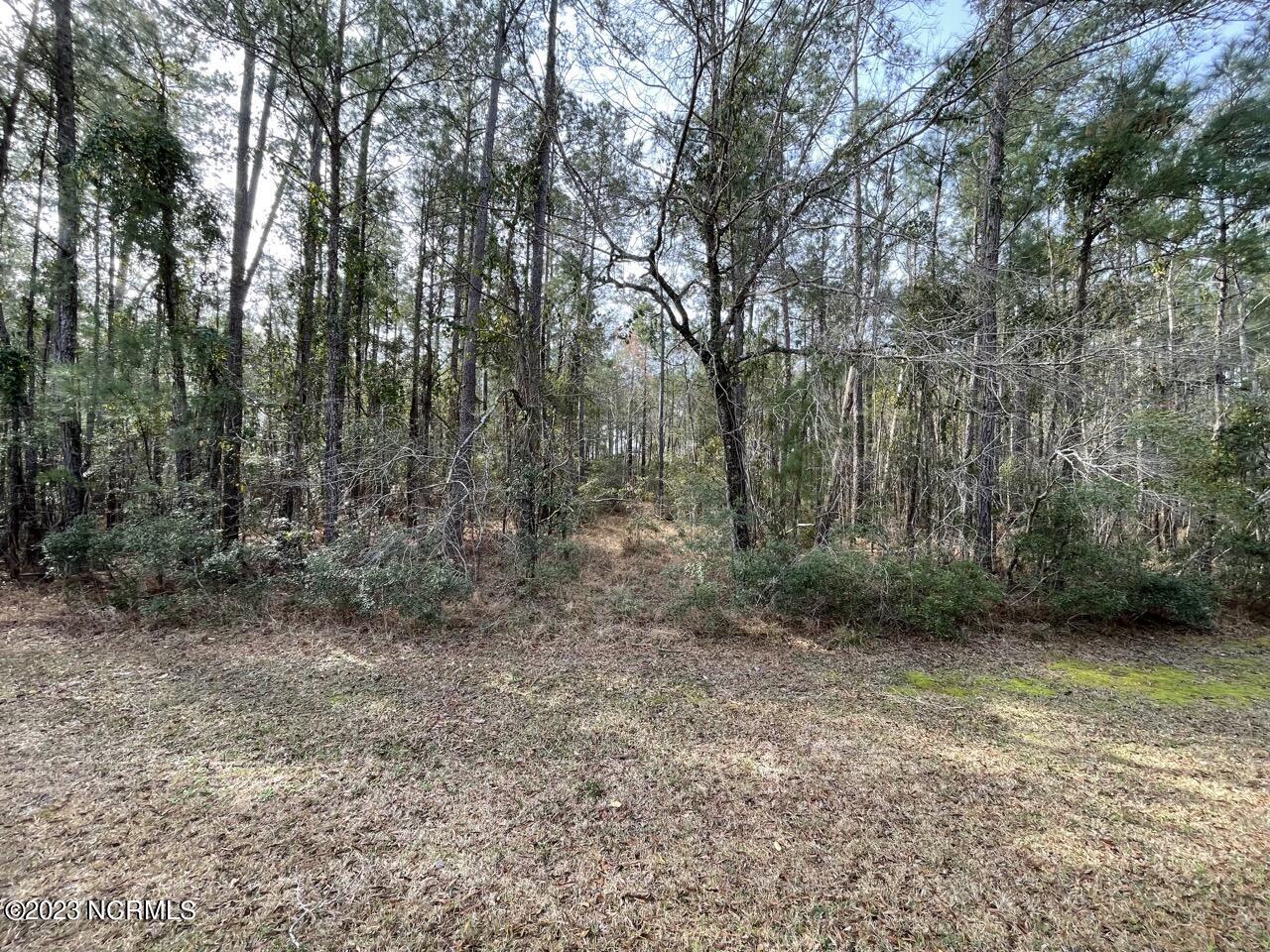 137 Tarpon Way Beaufort, NC 28516 - Photo 16 of 37 IMG_2675 Large