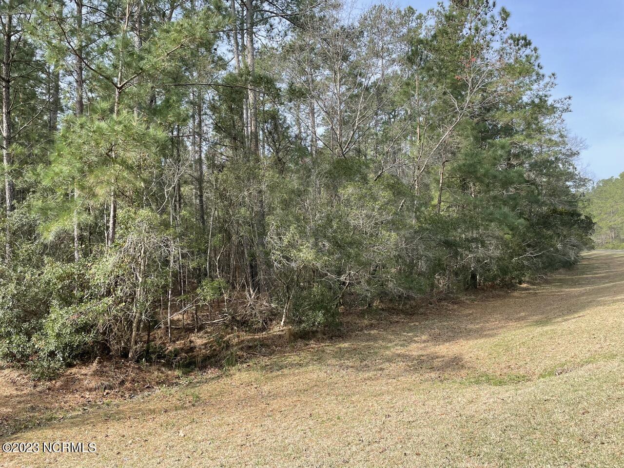 137 Tarpon Way Beaufort, NC 28516 - Photo 17 of 37 IMG_2676 Large