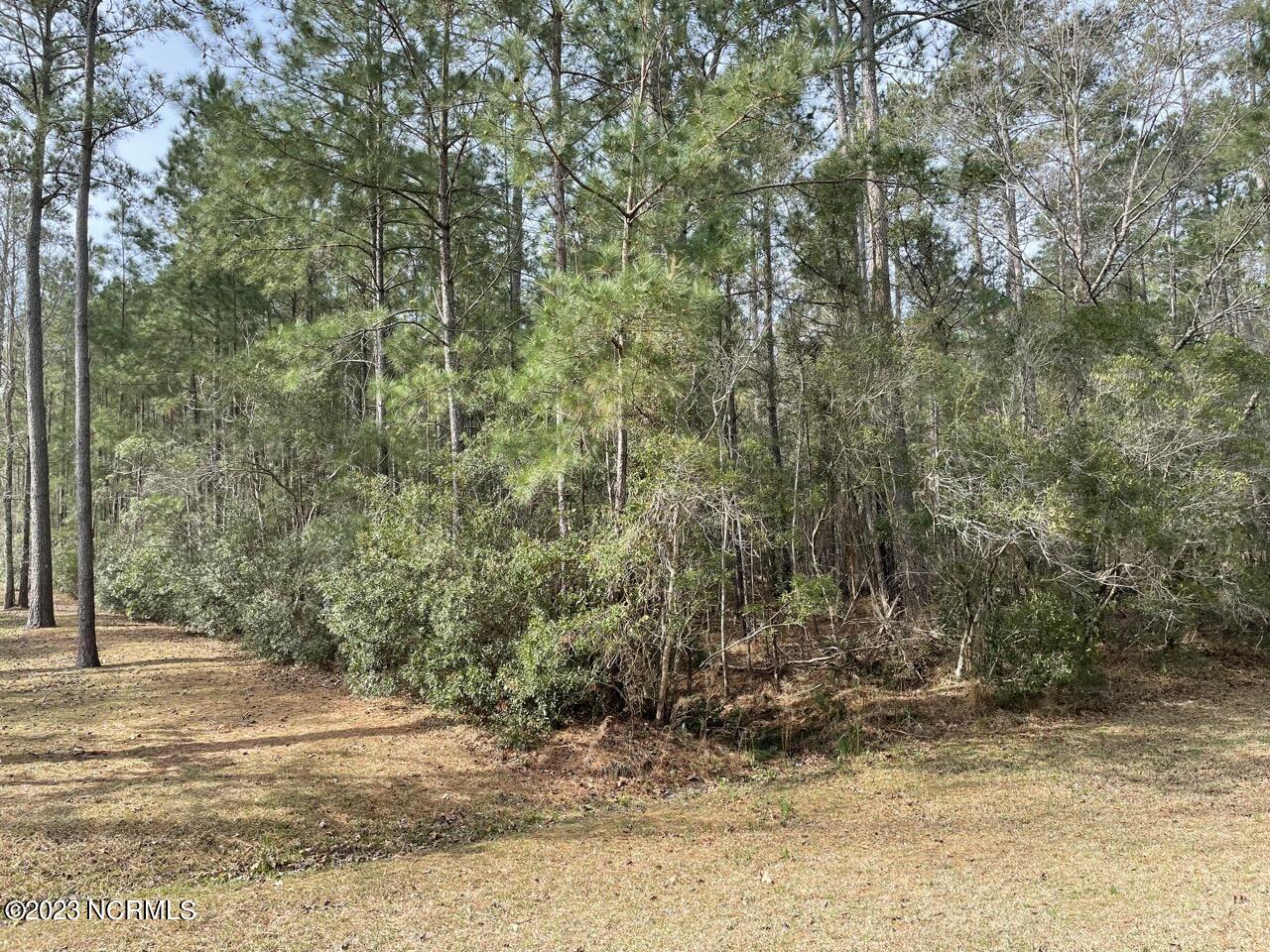 137 Tarpon Way Beaufort, NC 28516 - Photo 18 of 37 IMG_2677 Large