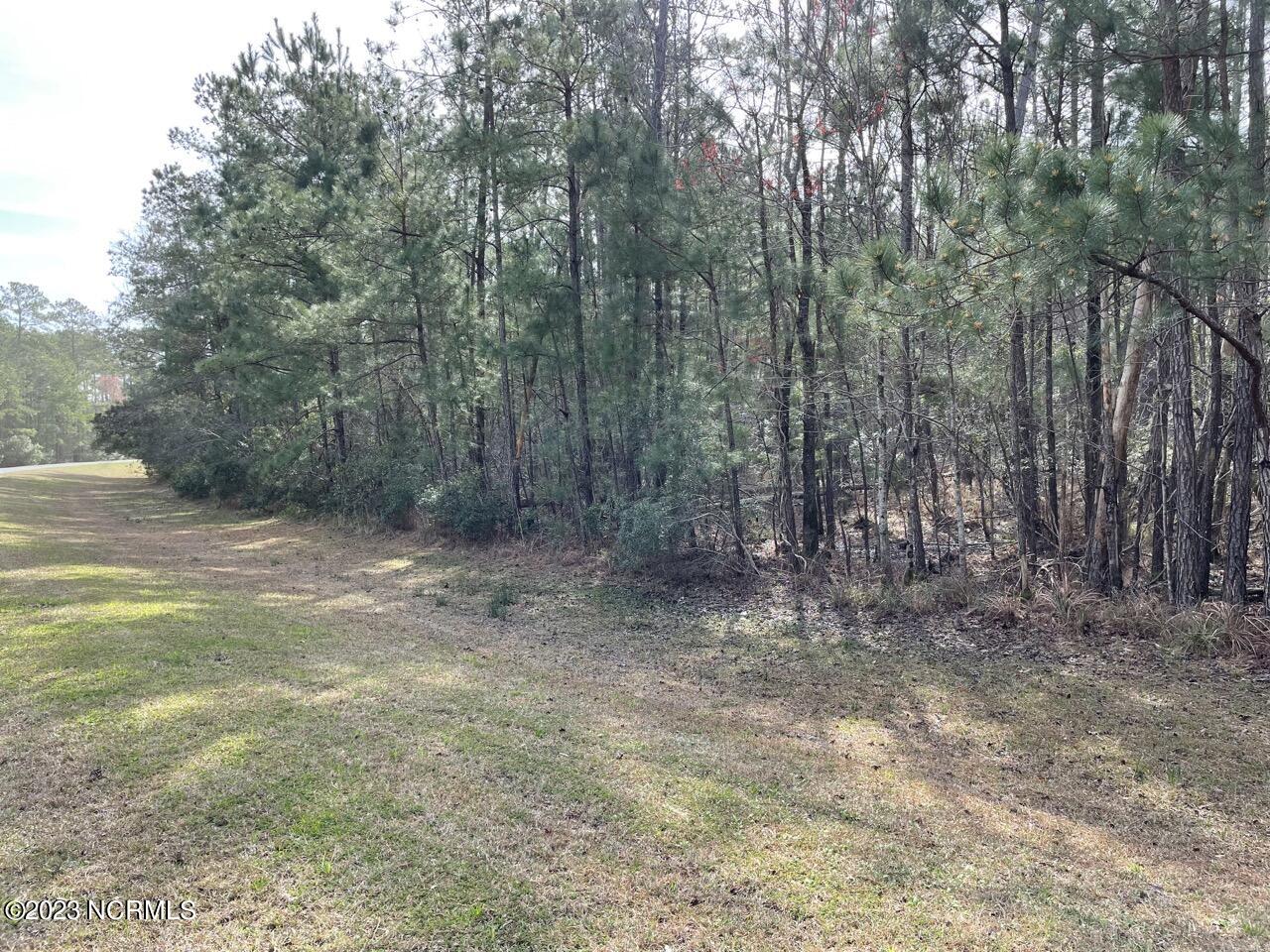 137 Tarpon Way Beaufort, NC 28516 - Photo 19 of 37 IMG_2678 Large