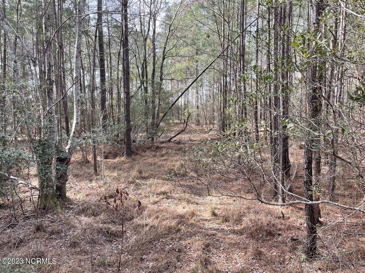 137 Tarpon Way Beaufort, NC 28516 - Photo 21 of 37 IMG_2682 Large
