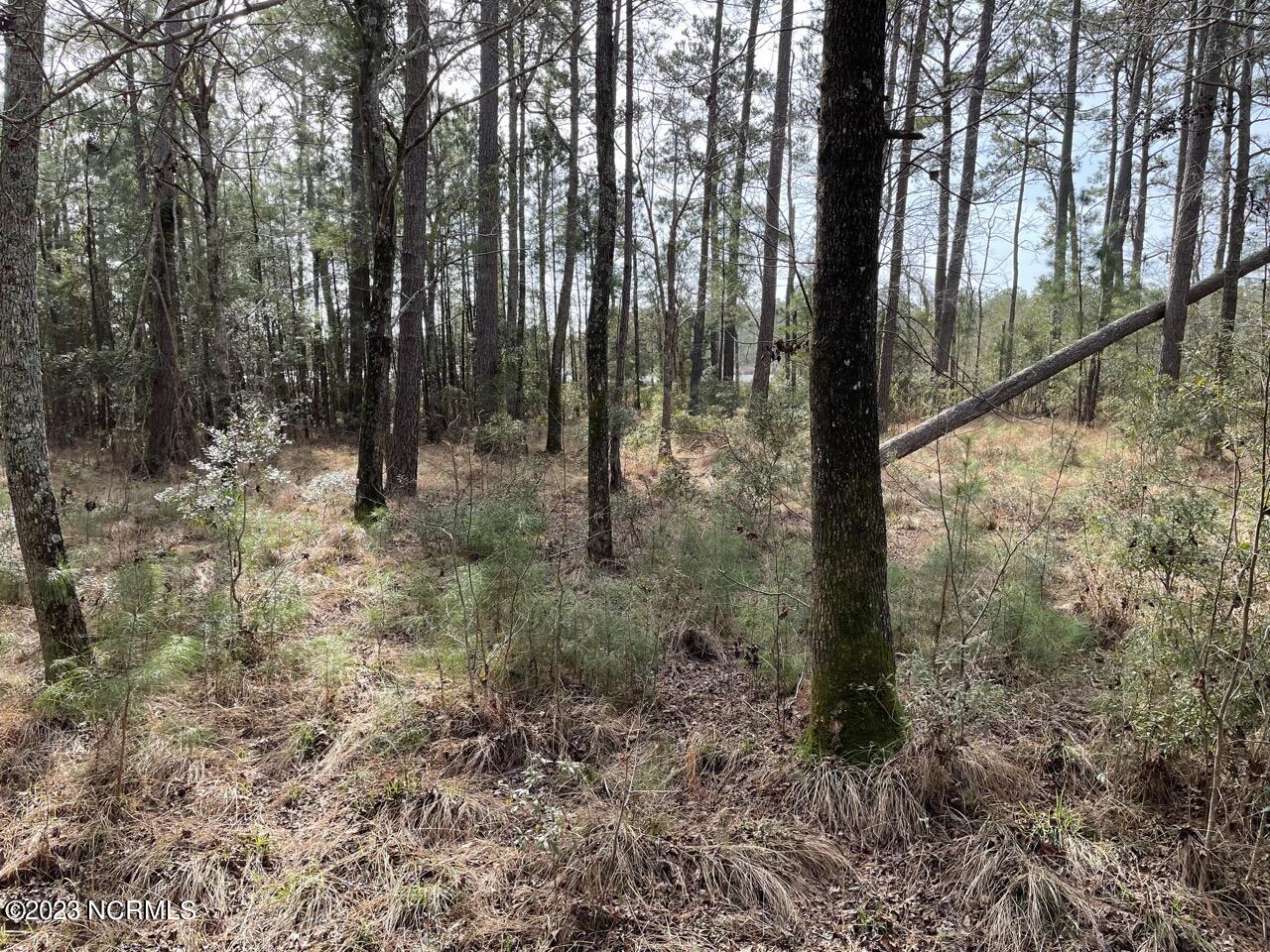 137 Tarpon Way Beaufort, NC 28516 - Photo 23 of 37 IMG_2685 Large