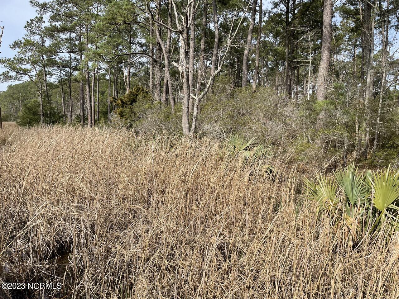 137 Tarpon Way Beaufort, NC 28516 - Photo 5 of 37 IMG_2693 Large