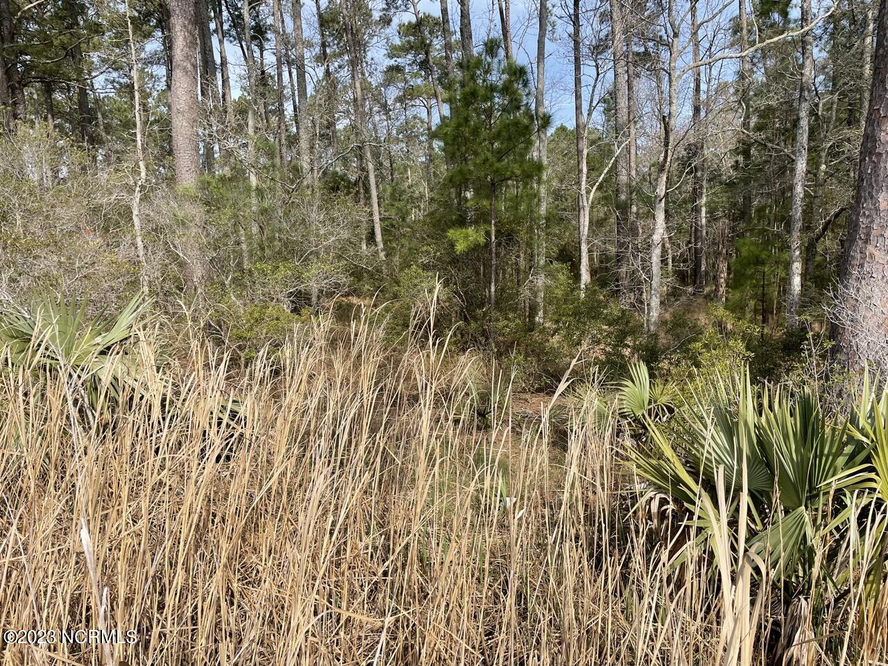 137 Tarpon Way Beaufort, NC 28516 - Photo 6 of 37 IMG_2694 Large