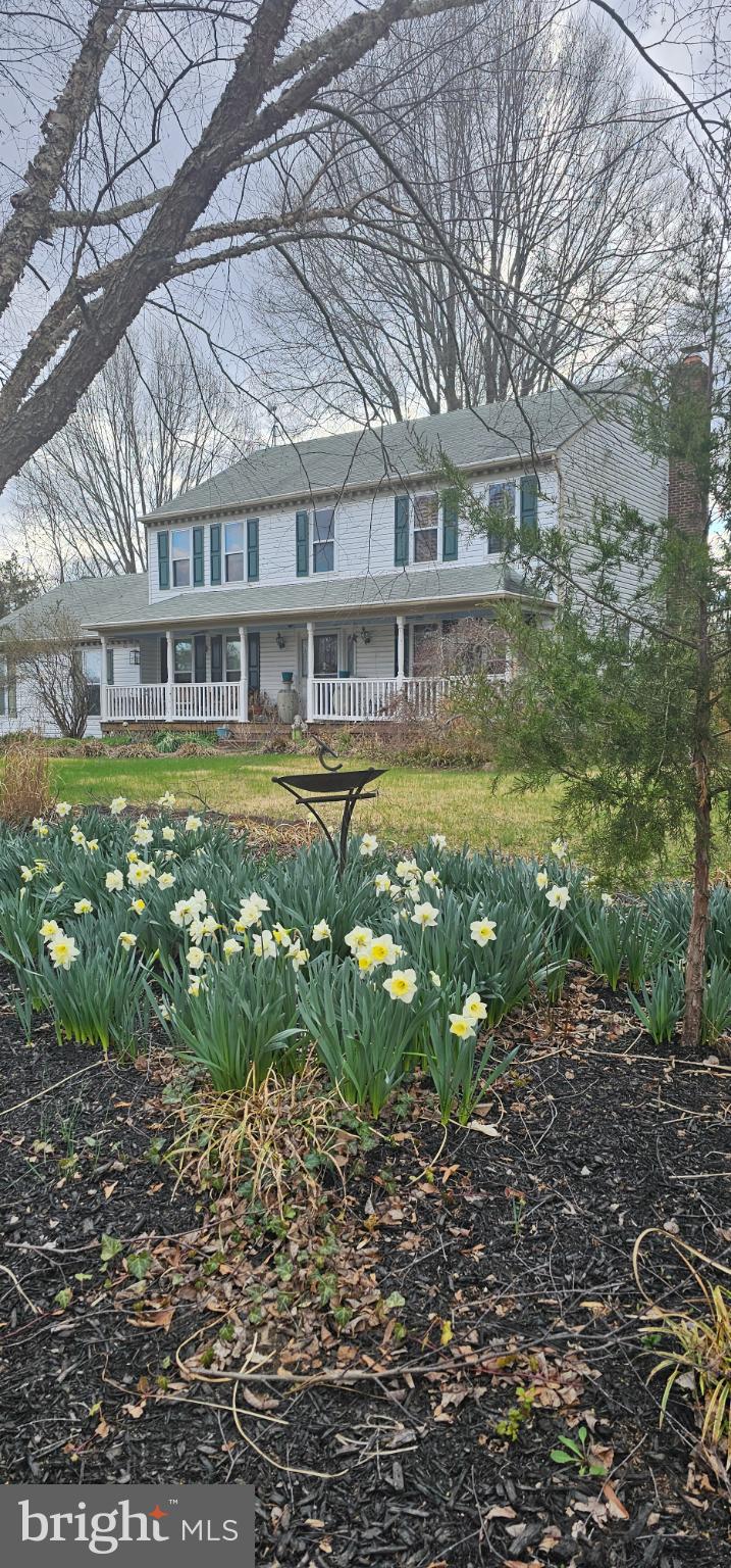 6 Indian Point Road Stafford, VA 22554 - Photo 7 of 33 Charming home framed by blooming daffodils.