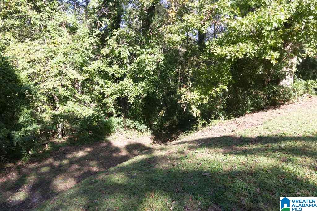 359 Jewell Road, Unit 1 73 Oxford, AL 36203 - Photo 23 of 46