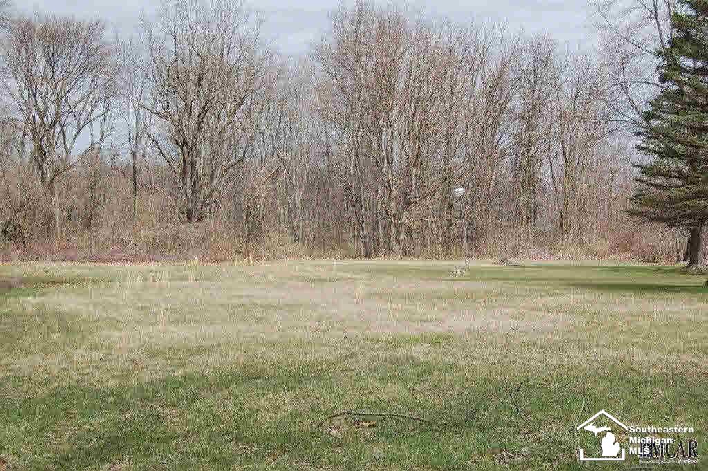 0 Pickard Road Temperance, MI 48182 - Photo 2 of 8